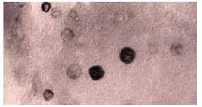hinh-anh-bai-2-gioi-thieu-cac-linh-vuc-nghien-cuu-trong-vat-li-hoc-13195-7