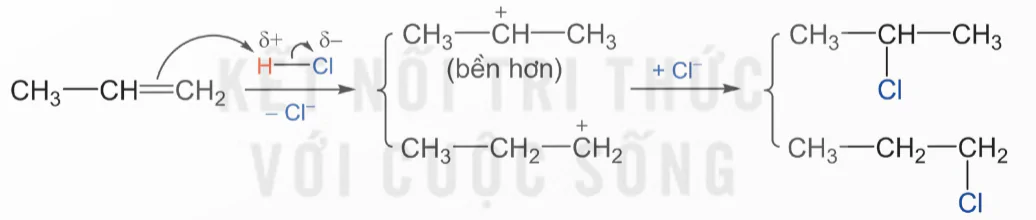 hinh-anh-bai-3-co-che-phan-ung-cong-13924-20