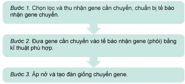 hinh-anh-bai-6-mot-so-ung-dung-cong-nghe-sinh-hoc-trong-chon-tao-giong-thuy-san-13984-6