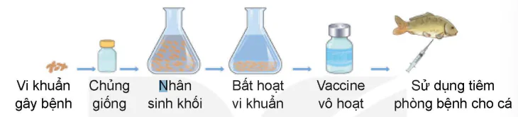 hinh-anh-bai-8-ung-dung-cong-nghe-sinh-hoc-trong-phong-benh-thuy-san-13986-6