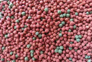hinh-anh-bai-12-nuoi-duong-va-cham-soc-ca-canh-nuoc-man-13990-7