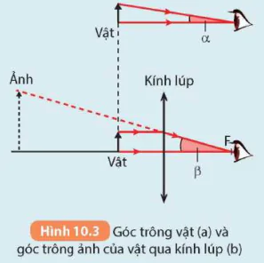 hinh-anh-bai-10-kinh-lup-bai-tap-thau-kinh-5714-7