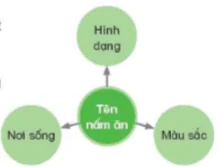 hinh-anh-bai-20-nam-an-va-nam-trong-che-bien-thuc-pham-8168-8