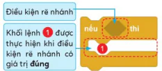 hinh-anh-bai-12-cau-truc-re-nhanh-10941-8