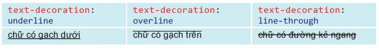 hinh-anh-bai-14-dinh-dang-van-ban-bang-css-12728-10