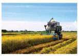 hinh-anh-bai-19-quy-trinh-trong-trot-va-co-gioi-hoa-trong-trong-trot-13312-12