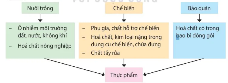 hinh-anh-bai-10-ngo-doc-thuc-pham-13589-8