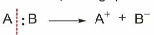 hinh-anh-bai-1-dai-cuong-ve-co-che-phan-ung-13922-25
