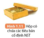 hinh-anh-bai-1-nhan-biet-mot-so-dung-cu-hoa-chat-thuyet-trinh-mot-van-de-khoa-hoc-5696-9