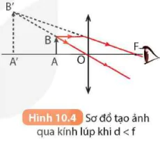 hinh-anh-bai-10-kinh-lup-bai-tap-thau-kinh-5714-8