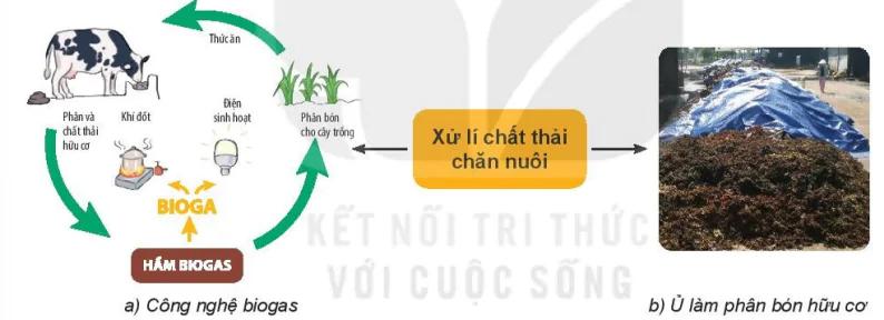 hinh-anh-bai-9-gioi-thieu-ve-chan-nuoi-7448-9