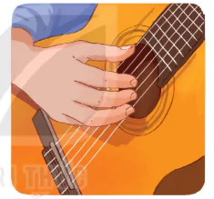 hinh-anh-bai-1-gioi-thieu-dan-guitar-va-ki-thuat-bam-gay-tren-day-5-day-4-12673-8