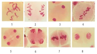 hinh-anh-bai-17-giam-phan-12853-4