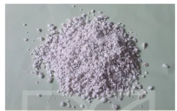 hinh-anh-bai-5-gia-the-trong-cay-13261-9