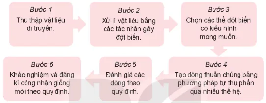 hinh-anh-bai-12-mot-so-phuong-phap-chon-tao-giong-cay-trong-13270-18