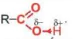 hinh-anh-bai-24-carboxylic-acid-13672-19