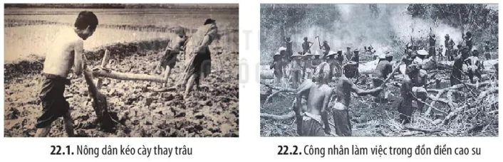 hinh-anh-ii-mot-so-linh-vuc-cua-lich-su-viet-nam-13720-9