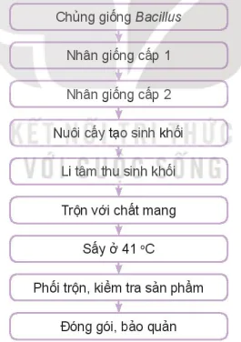 hinh-anh-bai-4-mot-so-ung-dung-pho-bien-cua-cong-nghe-sinh-hoc-trong-phong-tri-benh-cho-vat-nuoi-13789-8