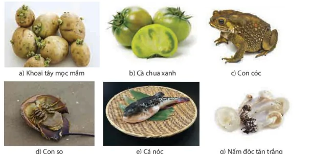 hinh-anh-bai-10-ngo-doc-thuc-pham-13589-9