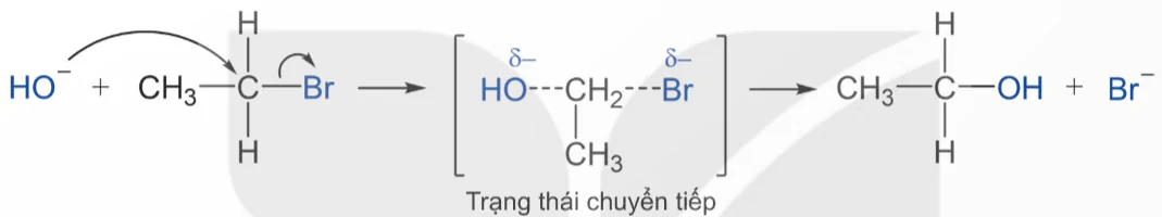 hinh-anh-bai-2-co-che-phan-ung-the-13923-36