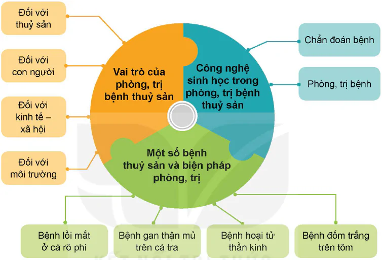 hinh-anh-on-tap-chuong-ix-12308-0