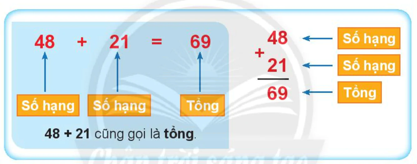 hinh-anh-so-hang-tong-4244-2