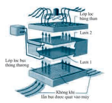 hinh-anh-bai-1-dien-tich-dinh-luat-cu-long-4116-21