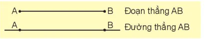 hinh-anh-duong-thang-duong-cong-4258-7