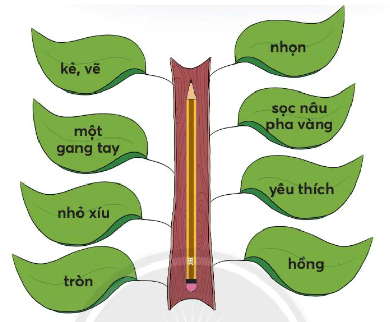 hinh-anh-bai-2-thoi-khoa-bieu-4356-8