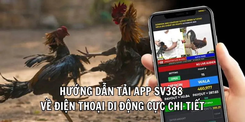 hinh-anh-tai-app-sv388-tan-huong-dam-me-ca-cuoc-khong-gioi-han-365-1