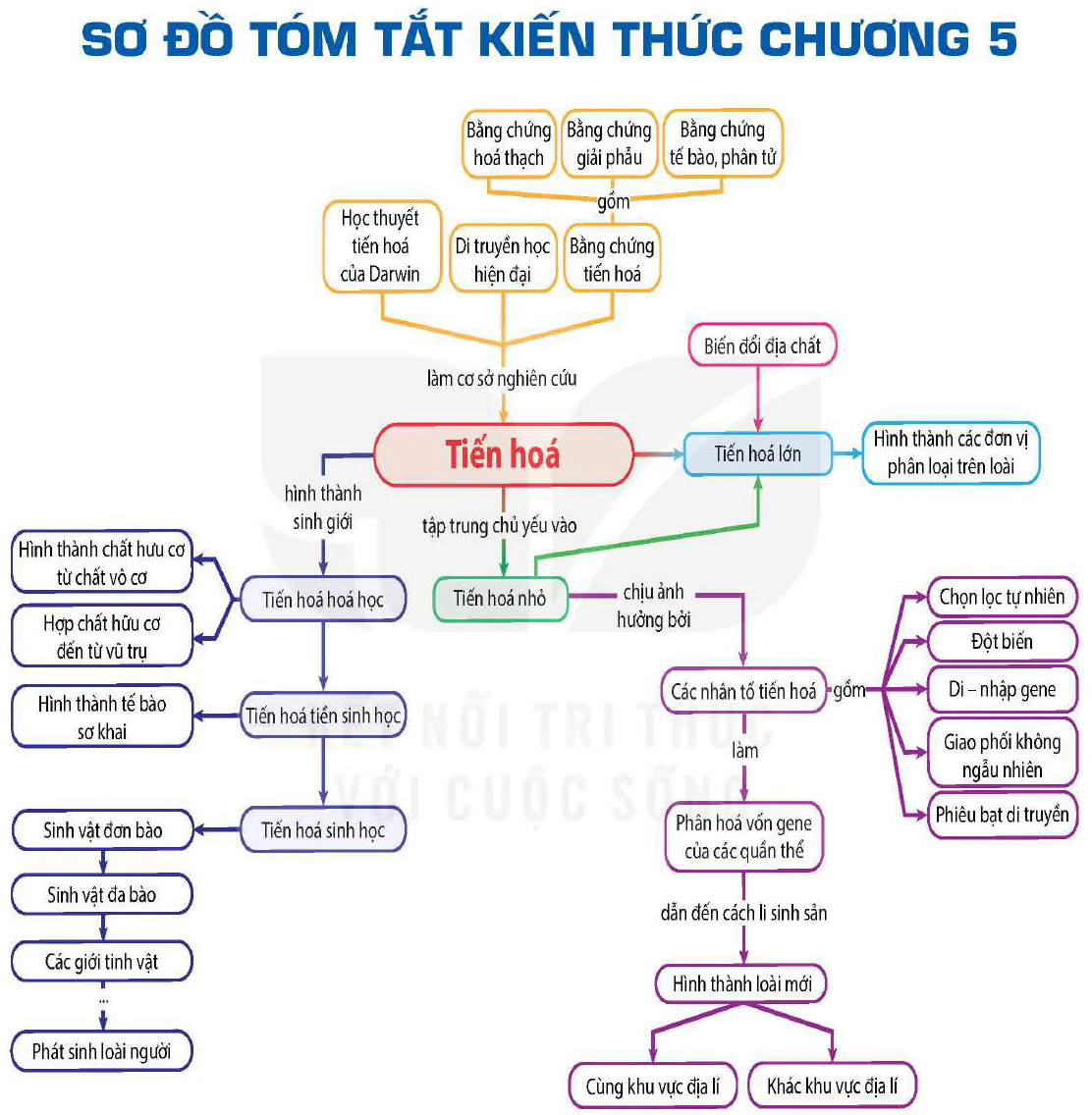 hinh-anh-bai-22-tien-hoa-lon-va-qua-trinh-phat-sinh-chung-loai-12985-6